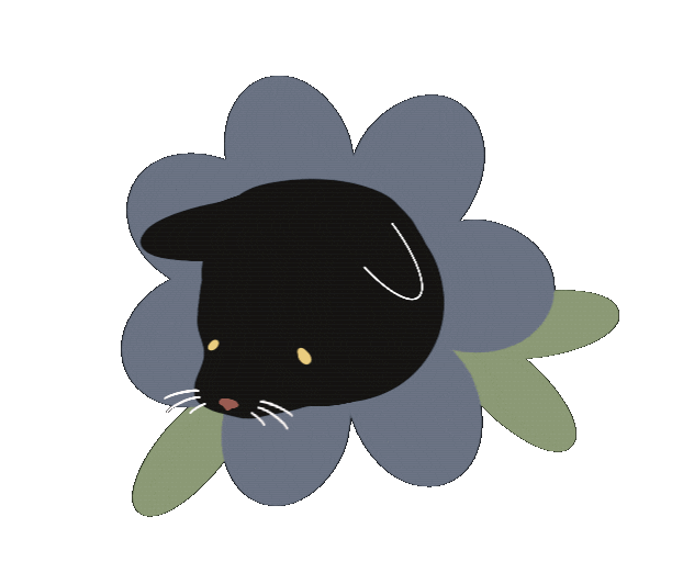 Cat Sticker