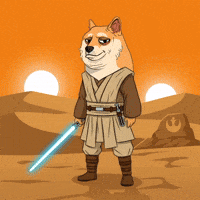 Star Wars Desert GIF by Doge Pound