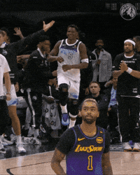 Nba Jumping GIF by Minnesota Timberwolves