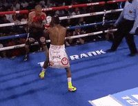 toprank fight boxing fighting espn GIF