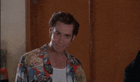 Ace Ventura Alrighty Then GIF
