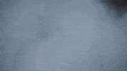 Littlerocksoc GIF by Little Rock Athletics