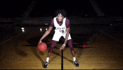 Littlerockmbb GIF by Little Rock Athletics