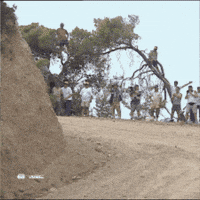 Cars Rallying GIF by FIA World Rally Championship