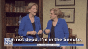 Elizabeth Warren Snl GIF by Saturday Night Live