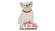 china dogs Sticker by Calzedonia