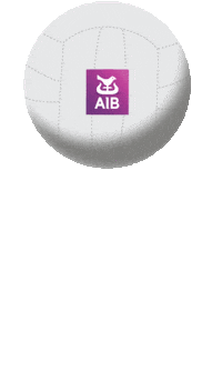 Gaa Sticker by AIB