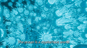 Jane Fonda Animation GIF by Ruby Gillman, Teenage Kraken