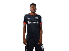 Bayer 04 Werkself Sticker by Bayer 04 Leverkusen