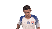 Slovakia Hrosovsky Sticker by Slovensky futbalovy zvaz