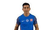 Football Celebration Sticker by Slovensky futbalovy zvaz
