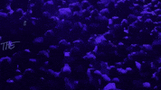 The Teacher GIF by Foo Fighters