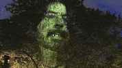 The Teacher GIF by Foo Fighters