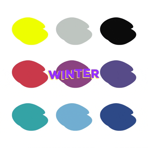 CromosApp giphygifmaker winter palette armocromia GIF