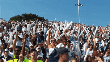ODUFootball happy sports football sport GIF