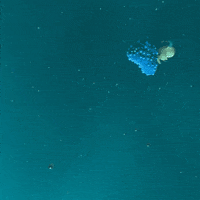 heromation animation fail ocean sea GIF