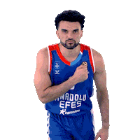Player Sticker by Anadolu Efes SK