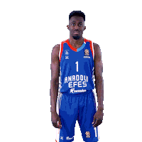 Babus Celebrating Sticker by Anadolu Efes SK