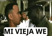 Forrest Gump Forest GIF