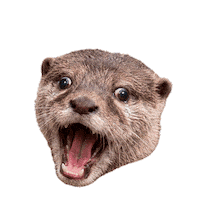Nutria Sticker by ecoembes