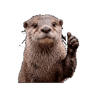 Nutria Sticker by ecoembes