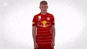 Red Bull Celebration GIF by FC Red Bull Salzburg