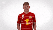 Celebrate Red Bull GIF by FC Red Bull Salzburg