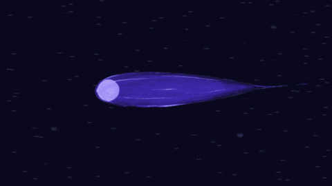 aleoxth giphygifmaker GIF