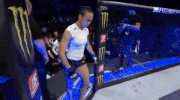 mma ufc218 GIF by UFC