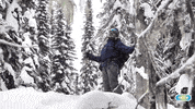 GIF by ikonpass