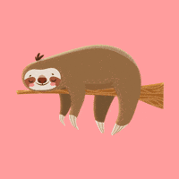 luamarinho mood animals sleeping fat GIF
