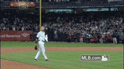 new york yankees GIF by MLB
