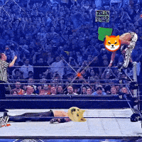 Shiba GIF by SHIB MEMES