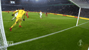 werder leverkusen GIF