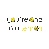 Marketing Lemon Sticker by Publilemon