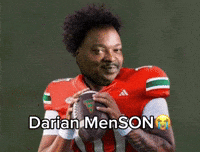 Miami Canes GIF