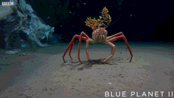 bbc one sea GIF by BBC