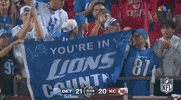 Regular Season Football GIF by NFL