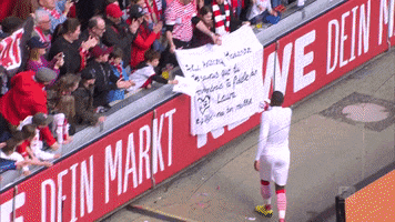 1 fc cologne football GIF by 1. FC Köln