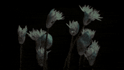 samirawinter film rainbow space winter GIF
