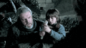a song of ice and fire bran GIF