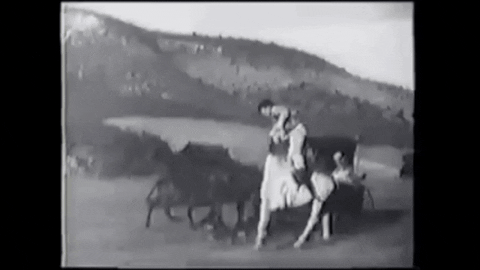TheThursdayThought giphygifmaker change horses in midstream dont change horses in midstream GIF