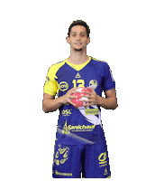SarrebourgHandball handball proligue sarrebourg smshb Sticker