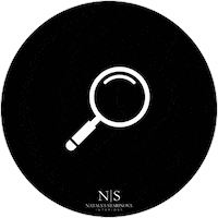 kstarinova nsi starinova starinovadesign Sticker