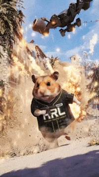 Hamster Raiders GIF by WTF Leagues
