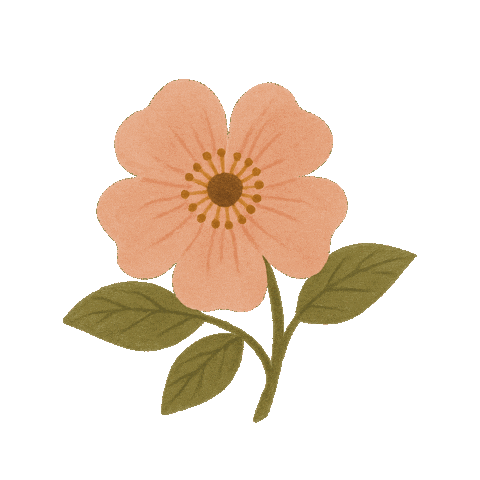 Flower Rose Sticker