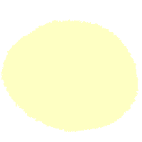 Circle Sticker