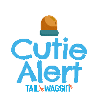 Dog Cutie Alert Sticker by Tail Waggin'