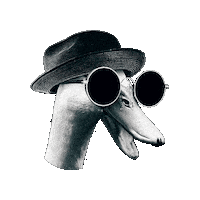 Duck You Sticker by Lasterkultur