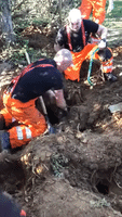 Fire Crew Rescues Dog Trapped for Hours in Rabbit Hole
